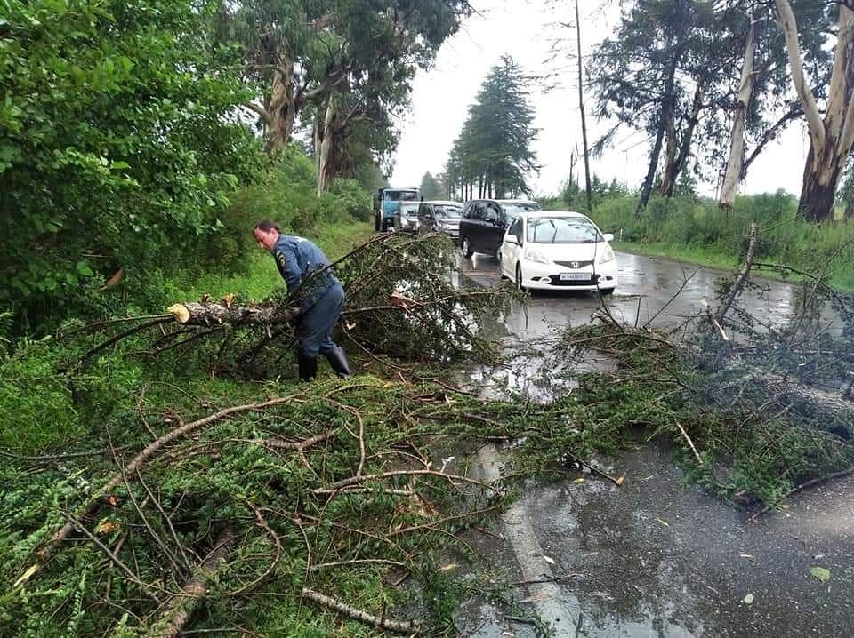Девушка упавшая в абхазии. В Абхазии упало дерево на пограничников. Погибающие дерево в Абхазии. Разрушение трассы в Абхазии. Упало дерево на военных в Абхазии.