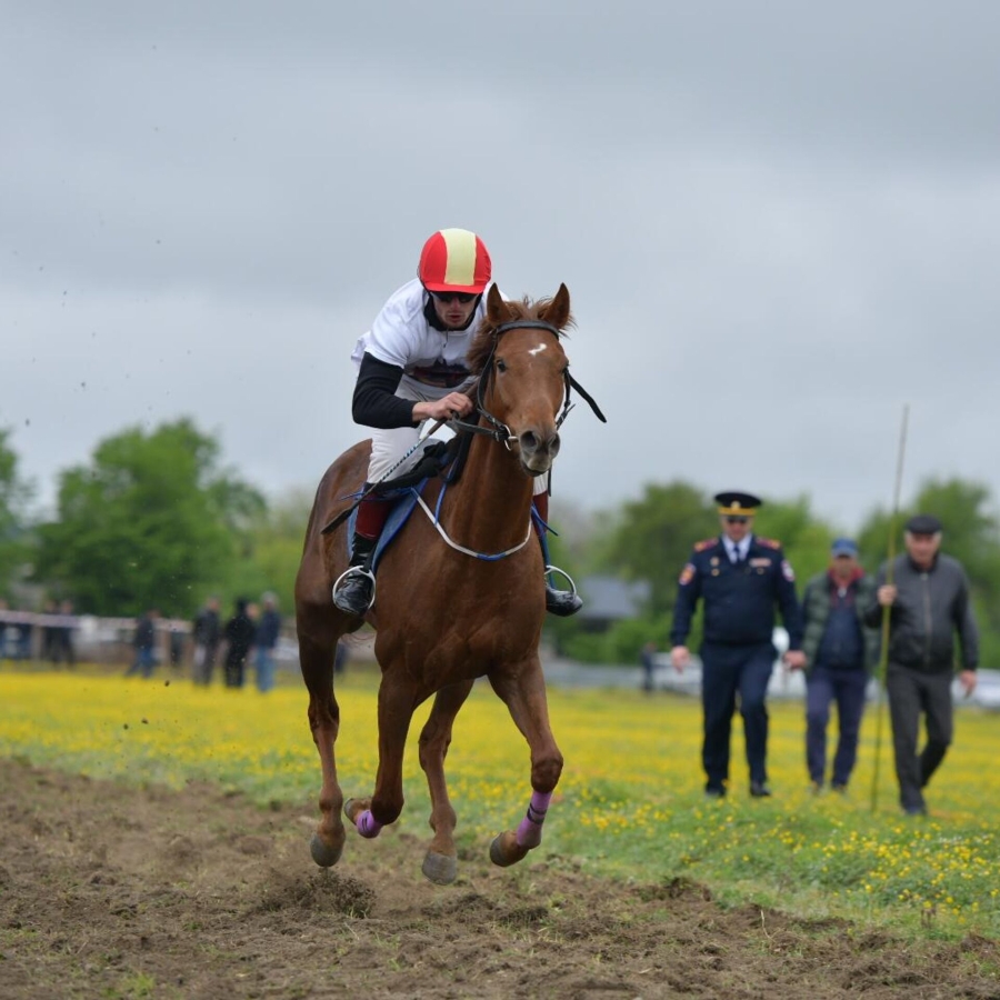 Стали известны итоги конно-спортивных соревнований, прошедших в Кутоле